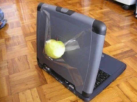 Komputer Apple Murah Foto Lucu Gambar